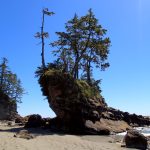 The Power of Water and Life, Vancouver Island, Canada The Power of Water and Life, Vancouver Island, Canada